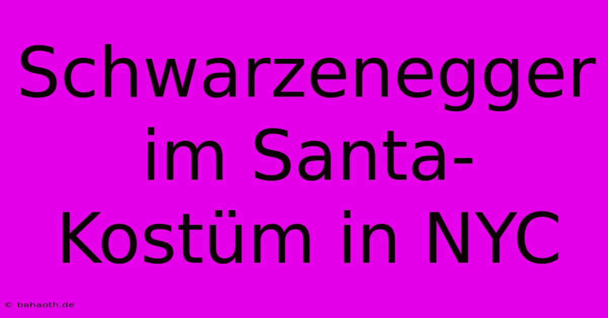 Schwarzenegger Im Santa-Kostüm In NYC