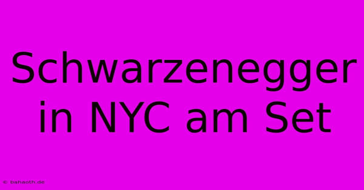 Schwarzenegger In NYC Am Set