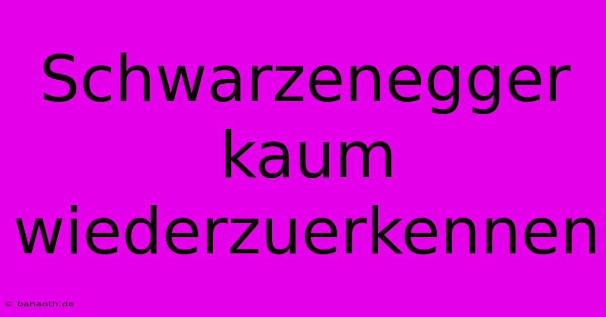 Schwarzenegger Kaum Wiederzuerkennen