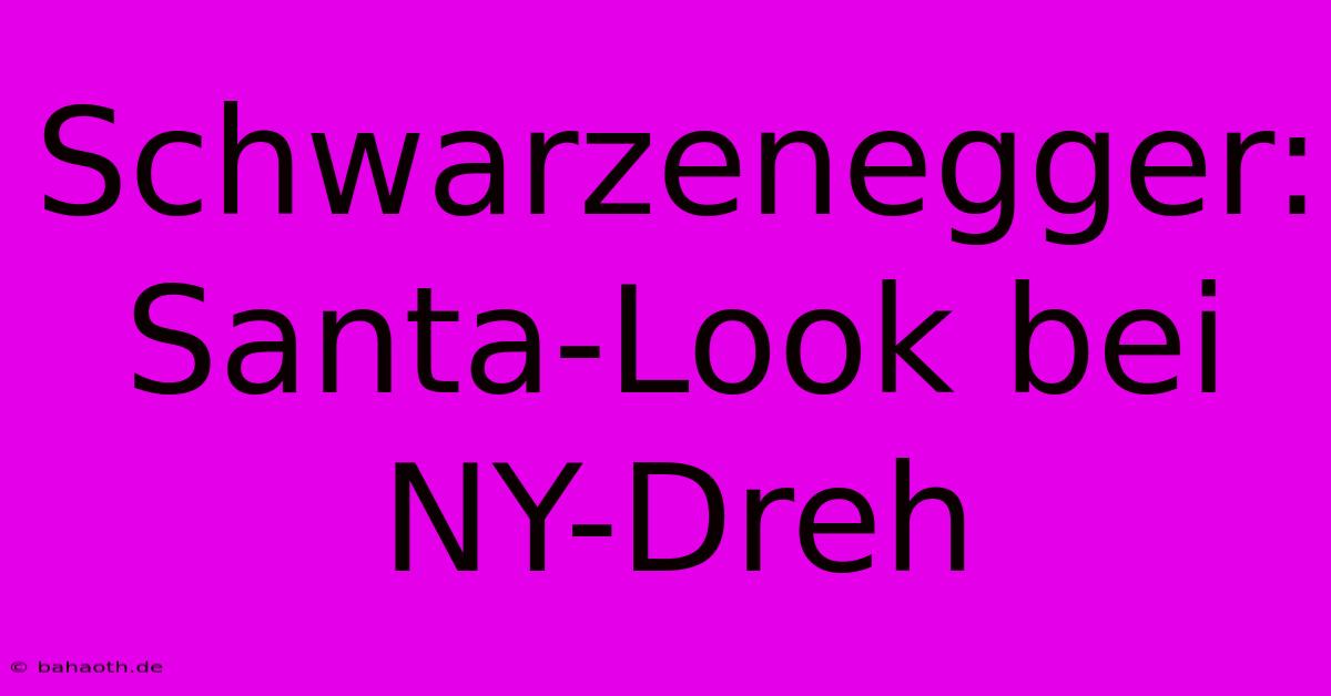 Schwarzenegger: Santa-Look Bei NY-Dreh