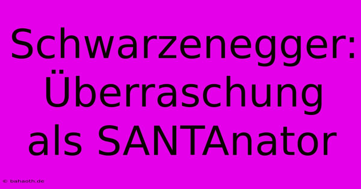 Schwarzenegger: Überraschung Als SANTAnator