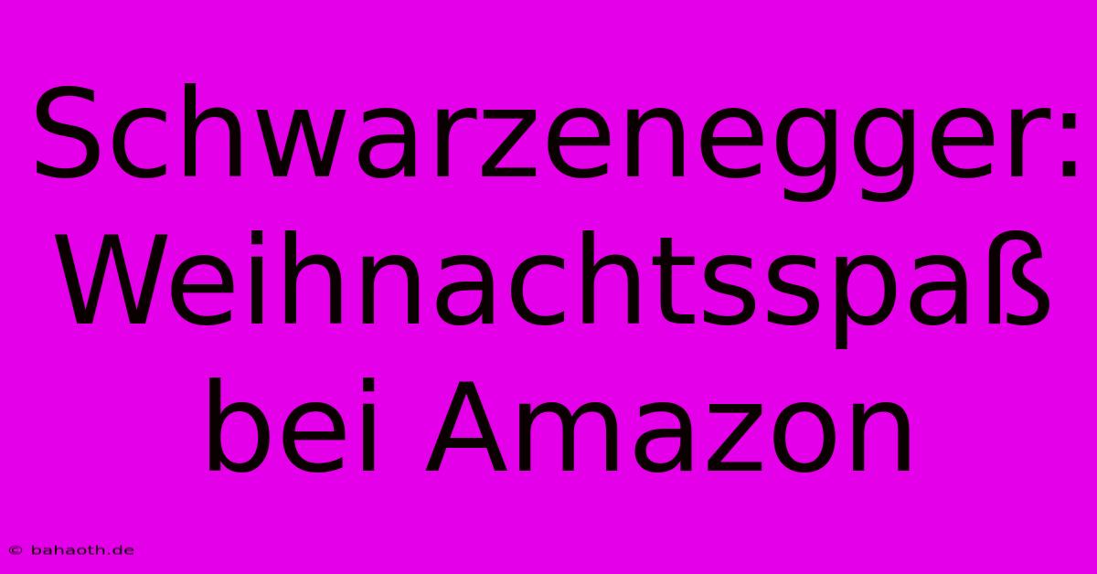 Schwarzenegger:  Weihnachtsspaß Bei Amazon