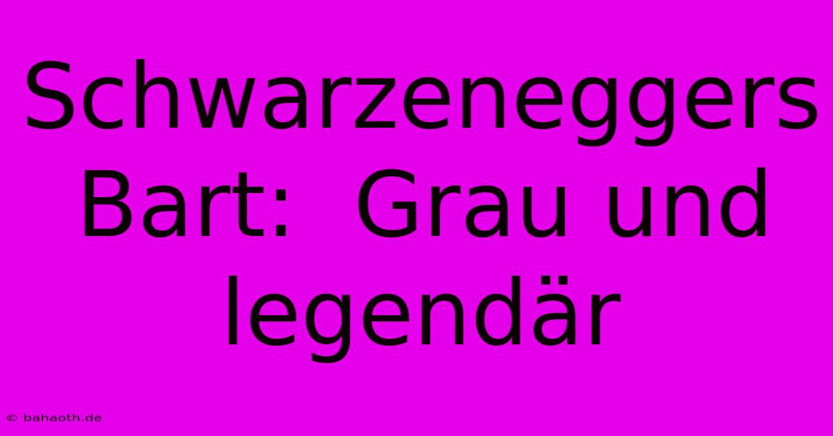 Schwarzeneggers Bart:  Grau Und Legendär