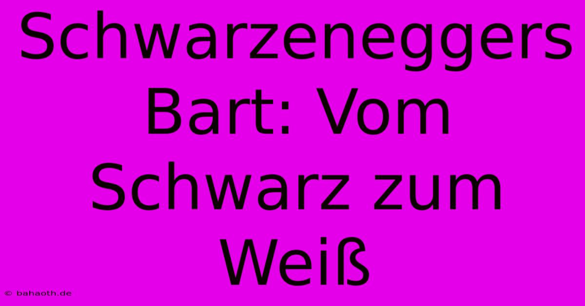 Schwarzeneggers Bart: Vom Schwarz Zum Weiß