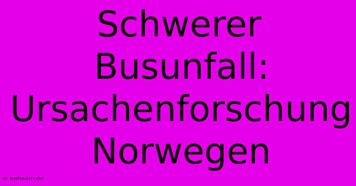 Schwerer Busunfall: Ursachenforschung Norwegen