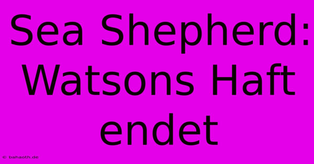 Sea Shepherd:  Watsons Haft Endet