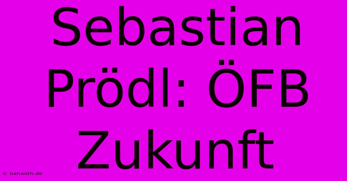 Sebastian Prödl: ÖFB Zukunft