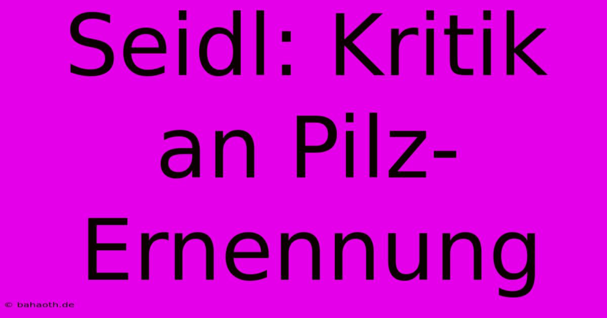 Seidl: Kritik An Pilz-Ernennung