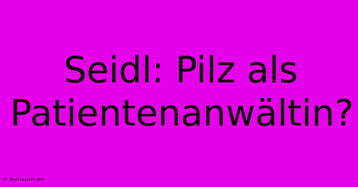 Seidl: Pilz Als Patientenanwältin?