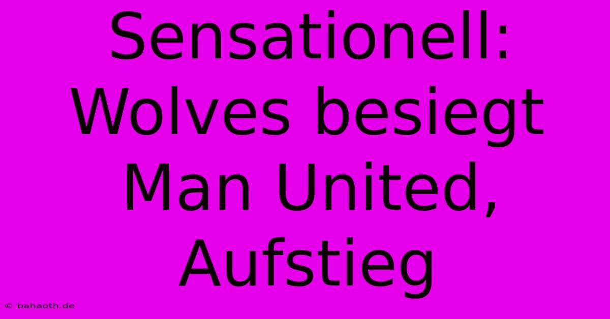 Sensationell: Wolves Besiegt Man United, Aufstieg