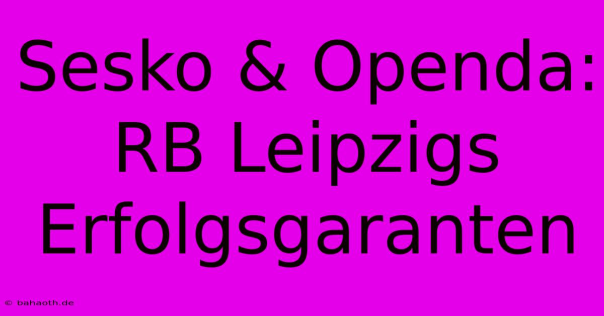 Sesko & Openda:  RB Leipzigs Erfolgsgaranten