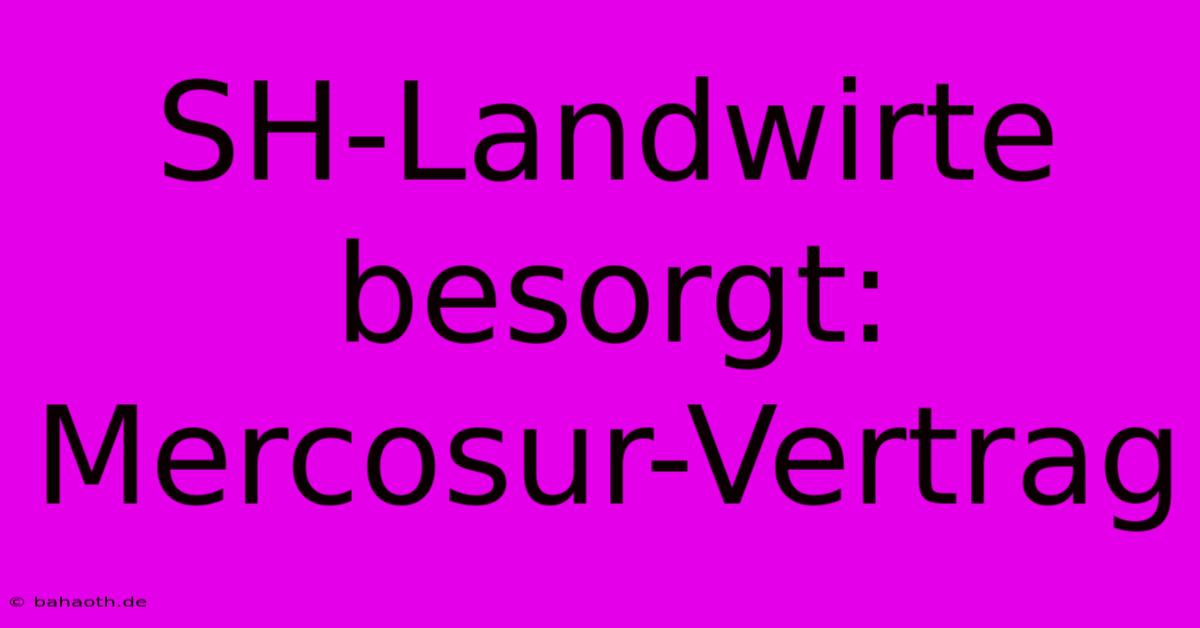 SH-Landwirte Besorgt: Mercosur-Vertrag