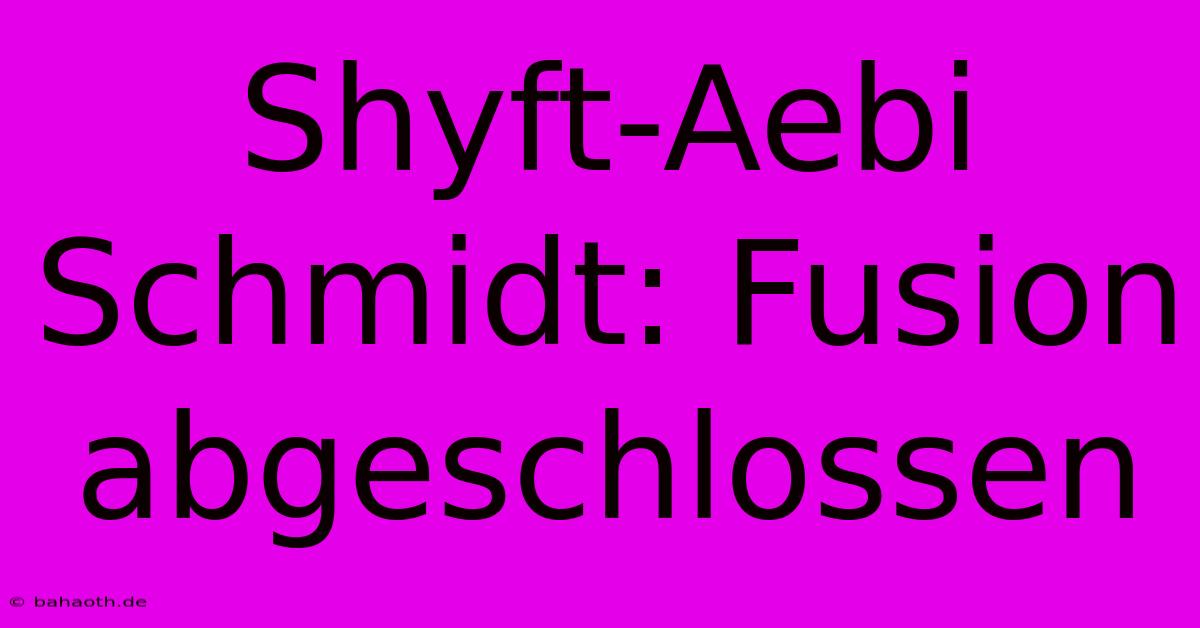 Shyft-Aebi Schmidt: Fusion Abgeschlossen