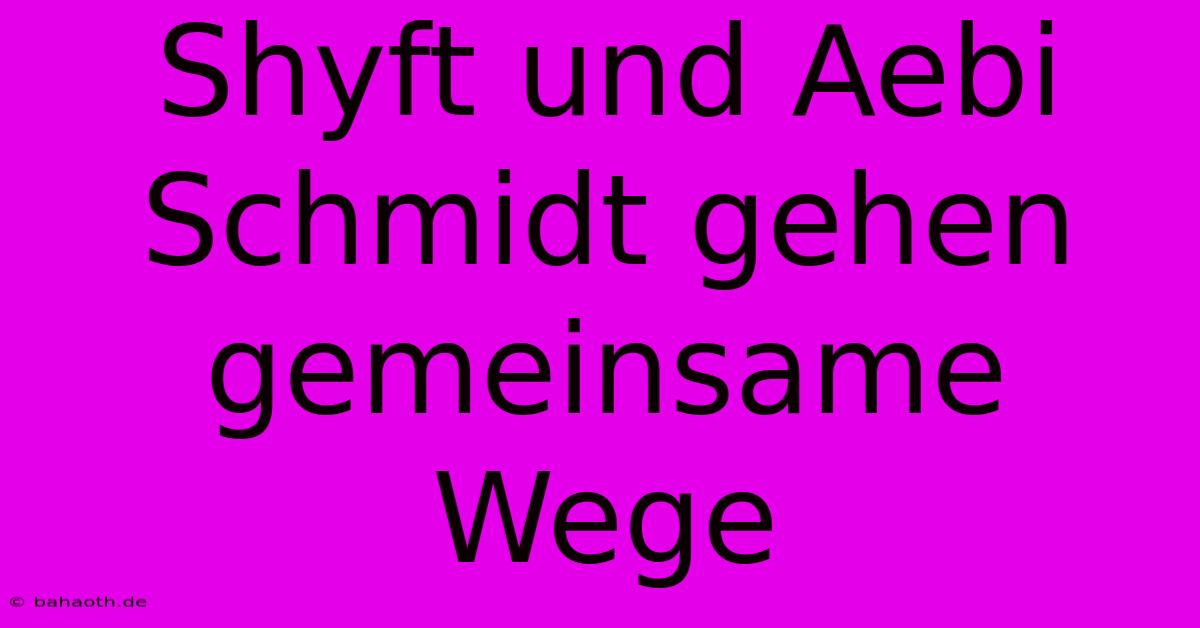 Shyft Und Aebi Schmidt Gehen Gemeinsame Wege