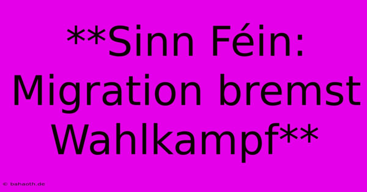 **Sinn Féin: Migration Bremst Wahlkampf**