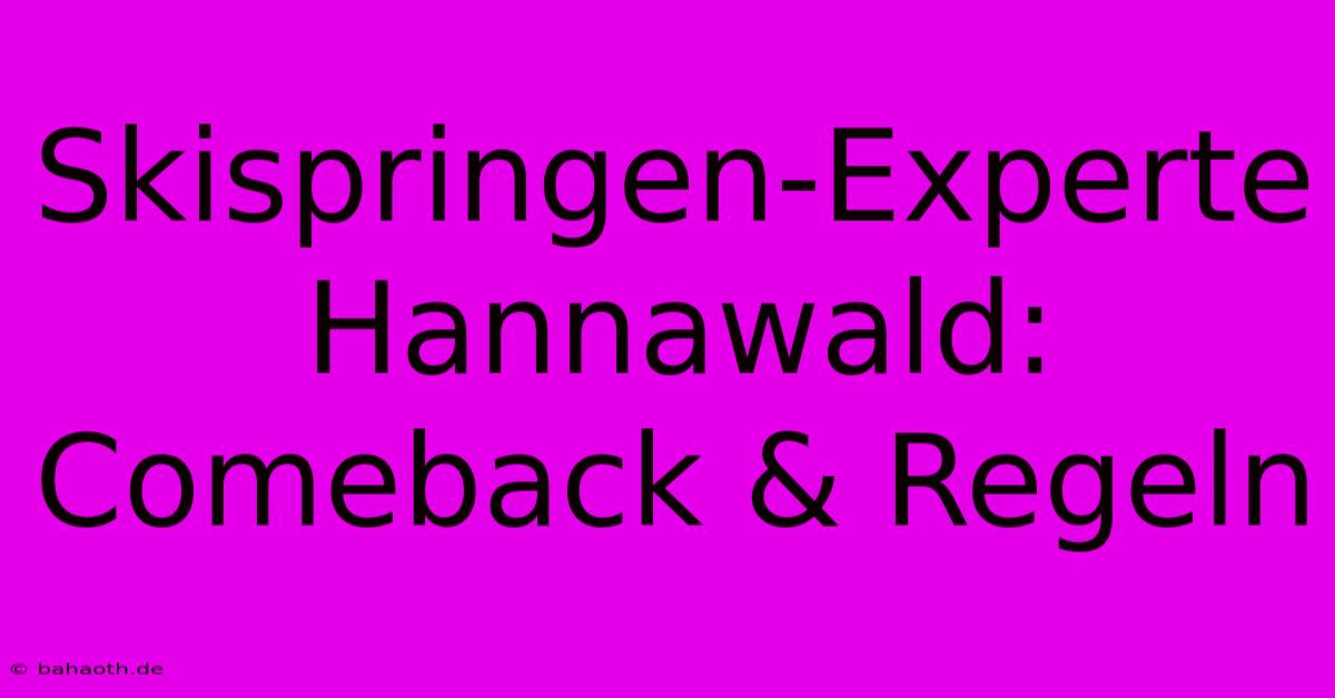 Skispringen-Experte Hannawald:  Comeback & Regeln