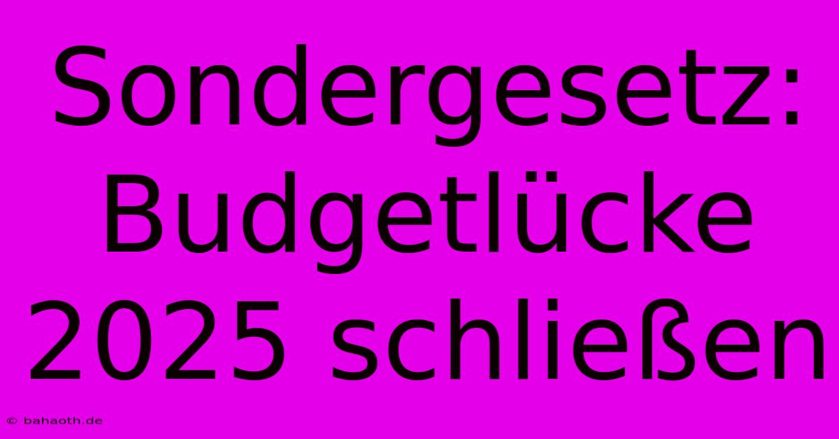 Sondergesetz:  Budgetlücke 2025 Schließen