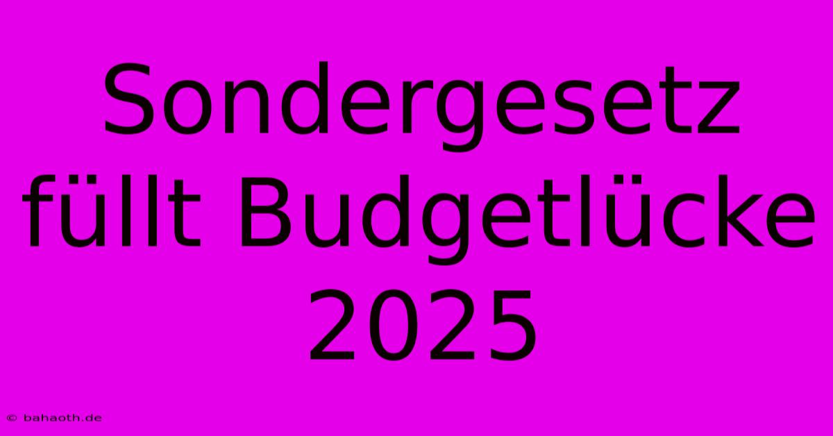 Sondergesetz  Füllt Budgetlücke 2025