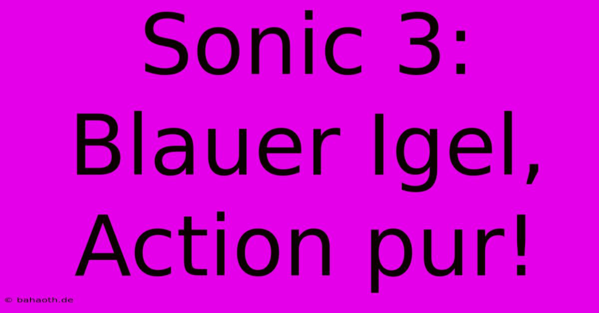 Sonic 3: Blauer Igel, Action Pur!