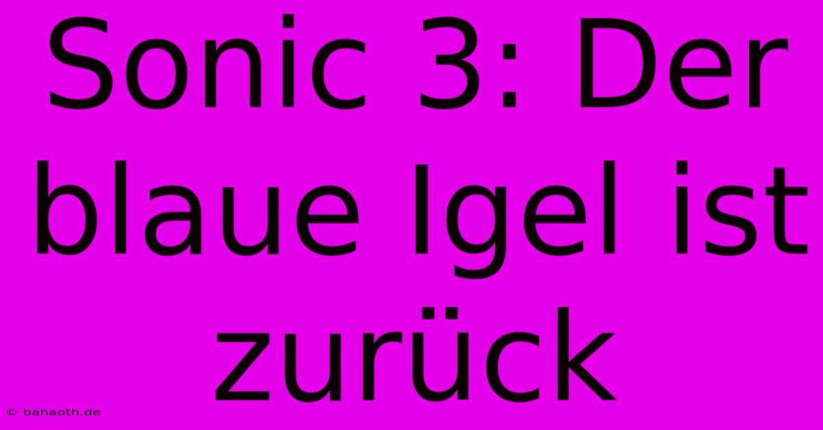 Sonic 3: Der Blaue Igel Ist Zurück