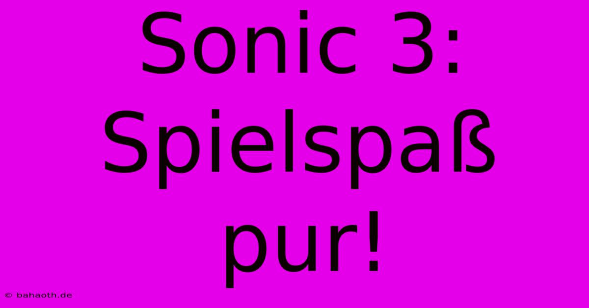 Sonic 3:  Spielspaß Pur!