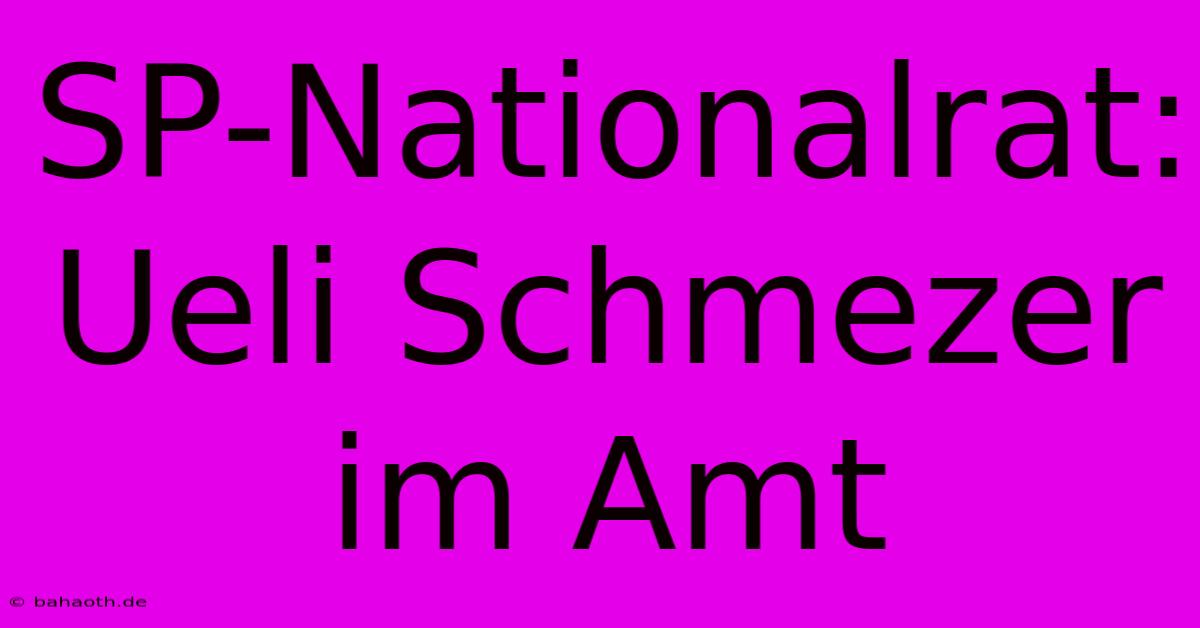 SP-Nationalrat: Ueli Schmezer Im Amt