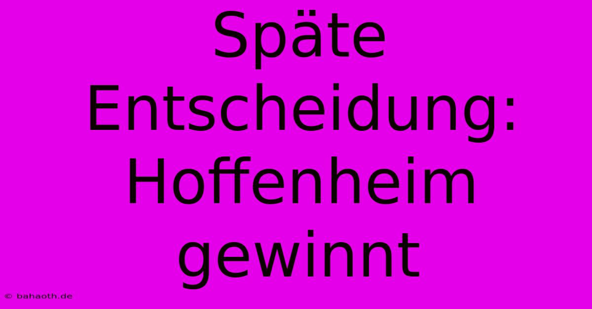 Späte Entscheidung: Hoffenheim Gewinnt