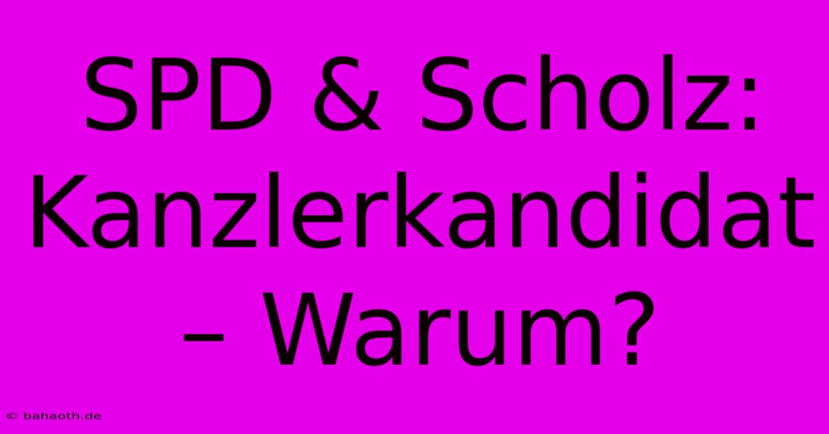 SPD & Scholz: Kanzlerkandidat – Warum?