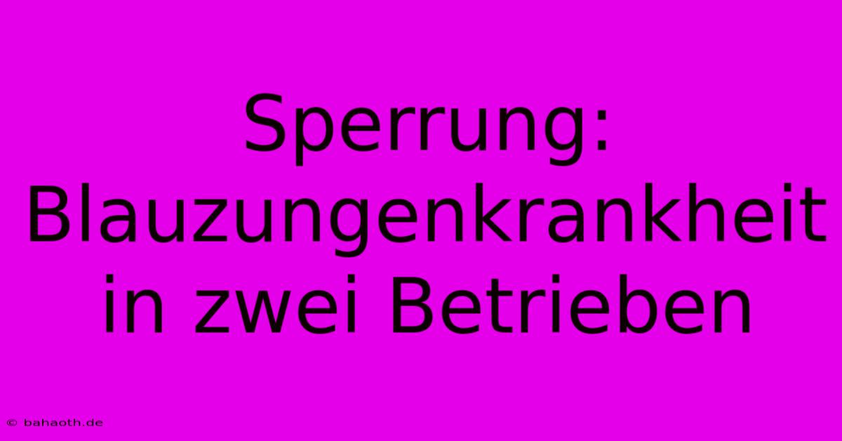 Sperrung: Blauzungenkrankheit In Zwei Betrieben