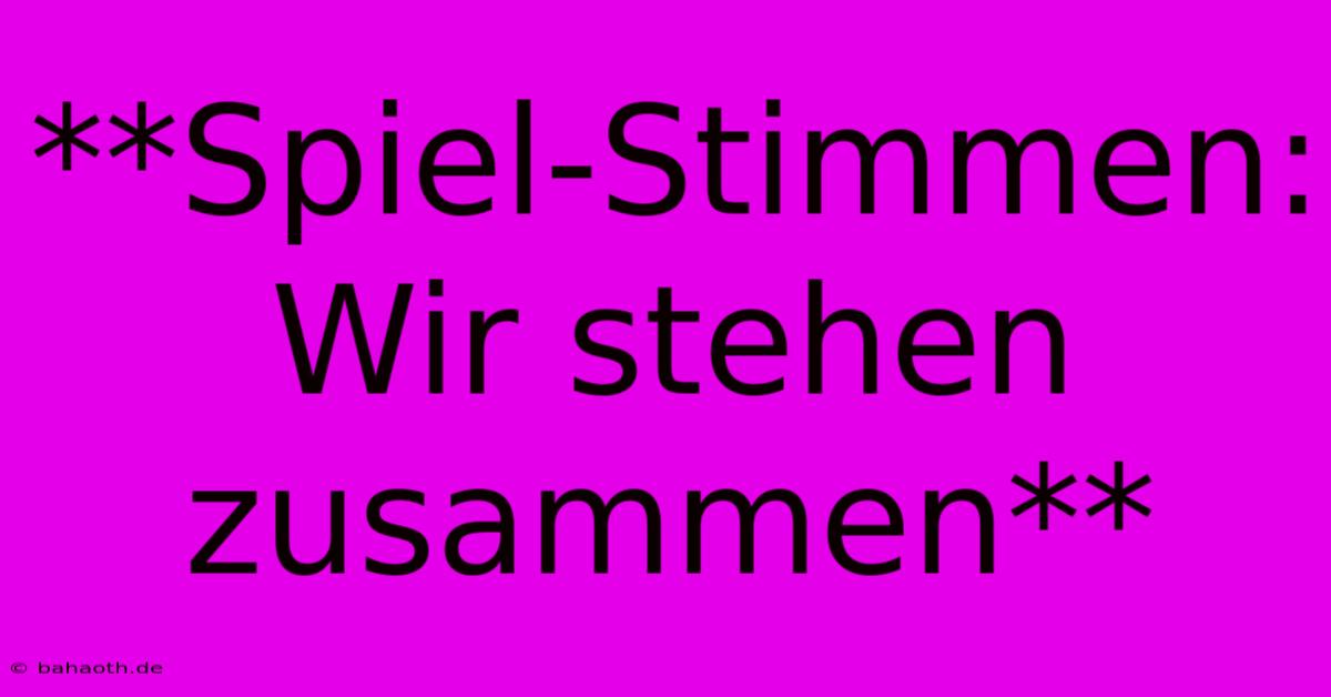 **Spiel-Stimmen: Wir Stehen Zusammen**