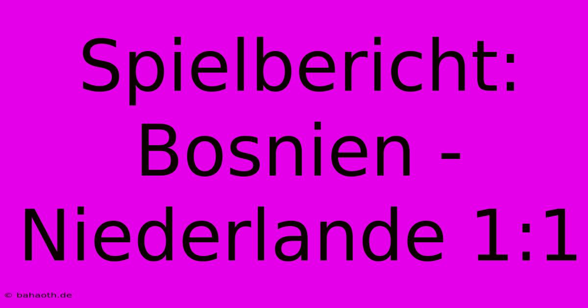 Spielbericht: Bosnien - Niederlande 1:1