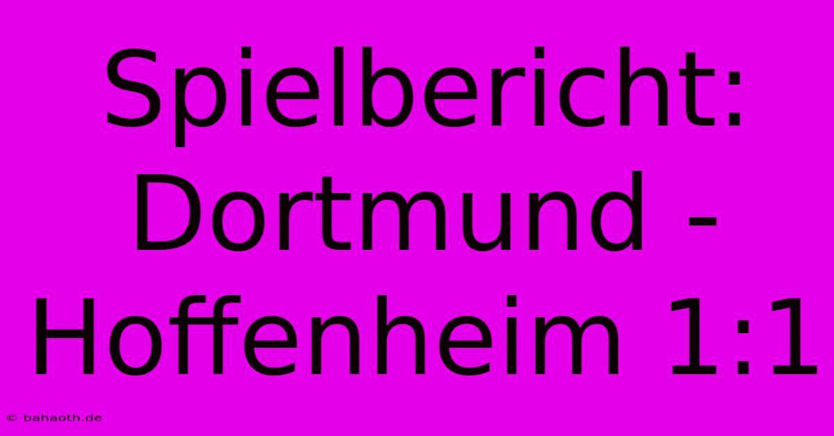 Spielbericht: Dortmund - Hoffenheim 1:1