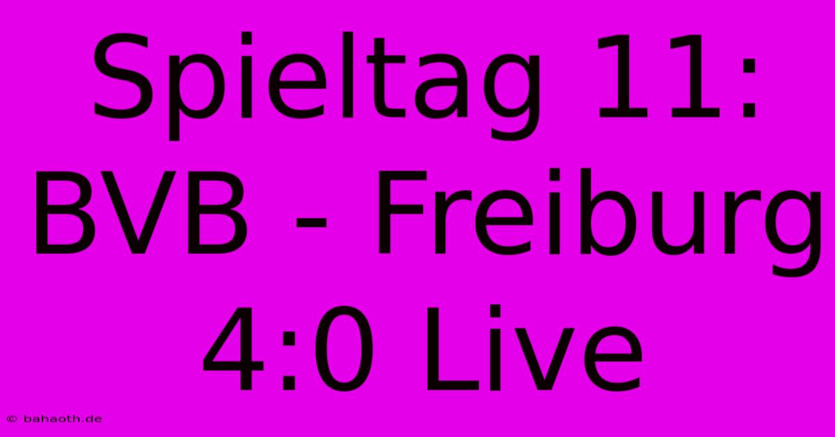 Spieltag 11: BVB - Freiburg 4:0 Live