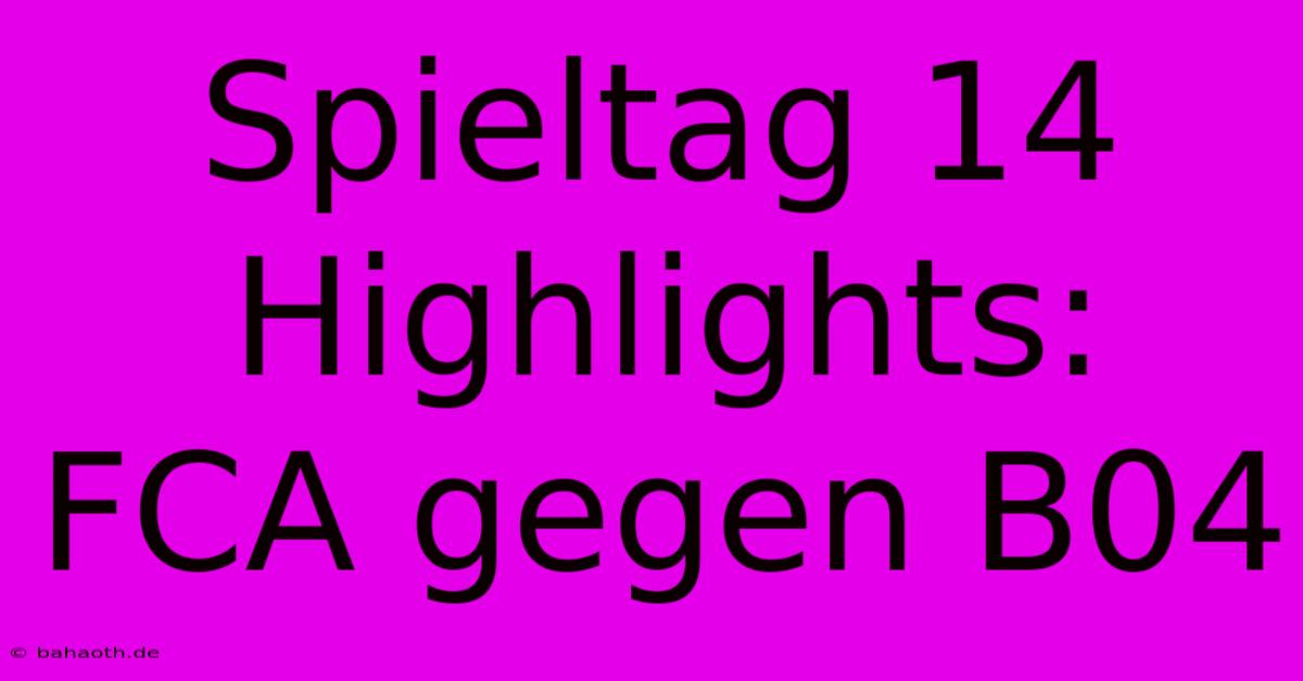 Spieltag 14 Highlights: FCA Gegen B04