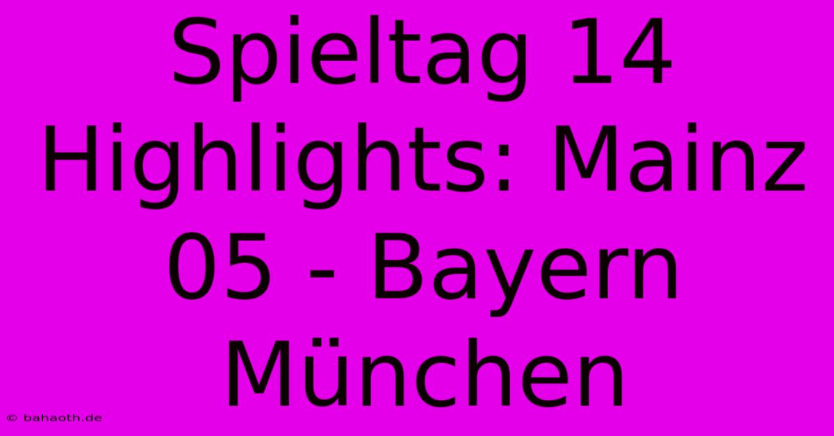 Spieltag 14 Highlights: Mainz 05 - Bayern München