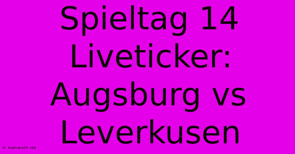 Spieltag 14 Liveticker: Augsburg Vs Leverkusen