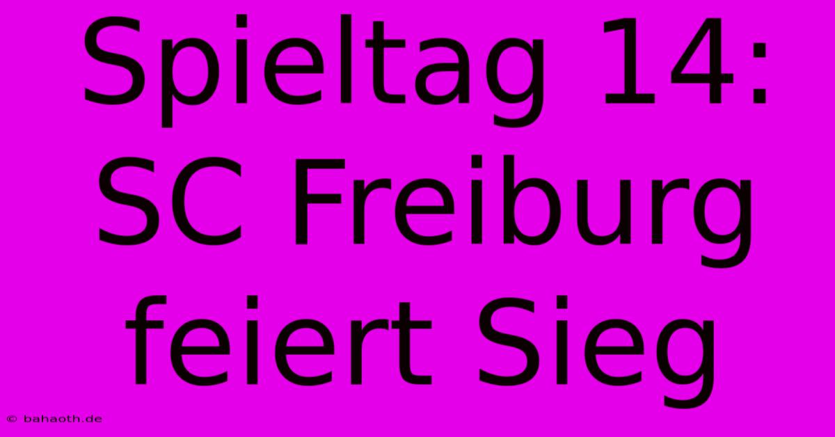 Spieltag 14: SC Freiburg Feiert Sieg