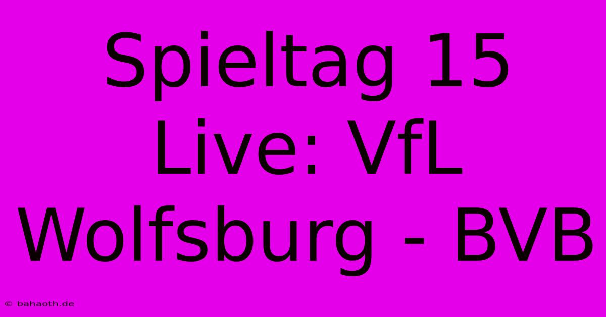 Spieltag 15 Live: VfL Wolfsburg - BVB