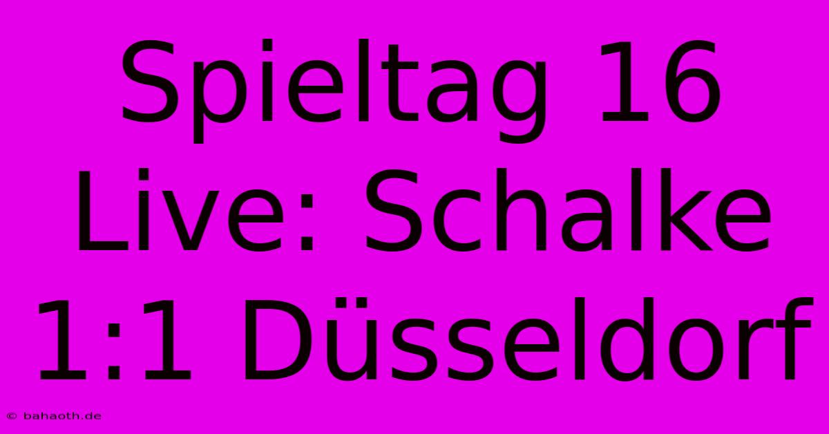 Spieltag 16 Live: Schalke 1:1 Düsseldorf