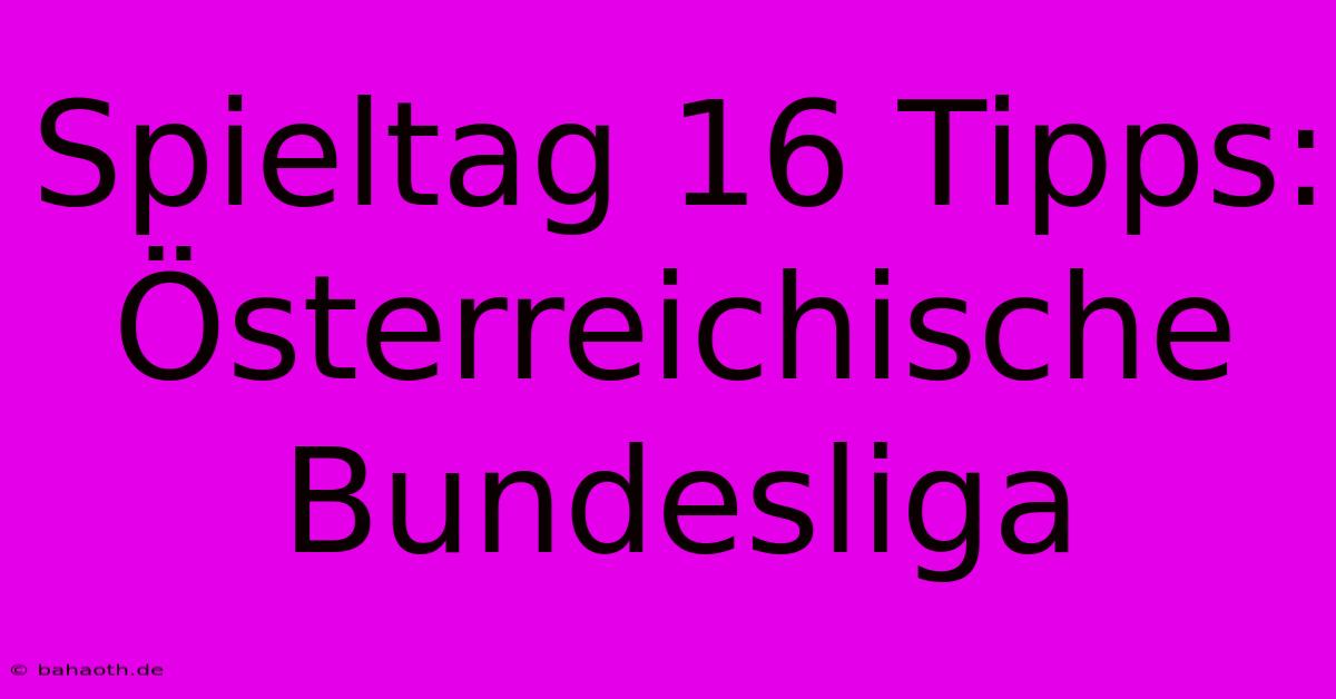 Spieltag 16 Tipps: Österreichische Bundesliga