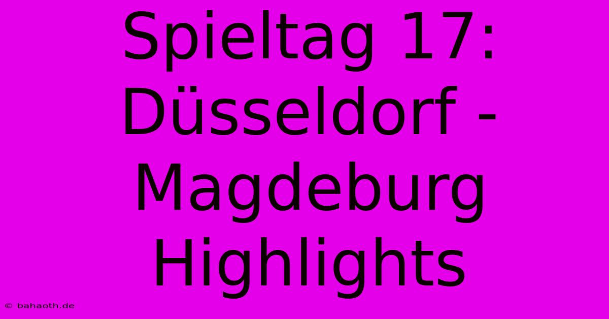 Spieltag 17: Düsseldorf - Magdeburg Highlights