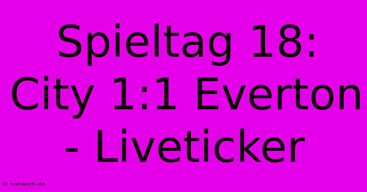 Spieltag 18: City 1:1 Everton - Liveticker