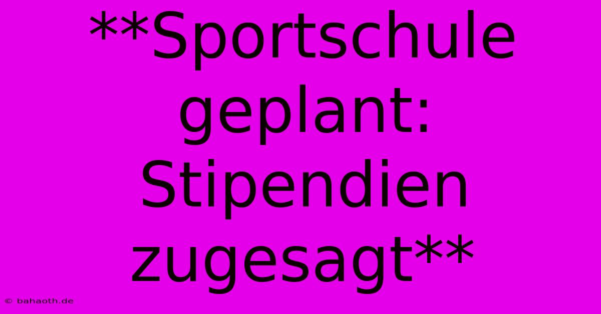 **Sportschule Geplant: Stipendien Zugesagt**