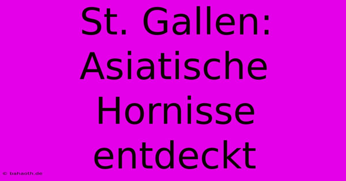 St. Gallen: Asiatische Hornisse Entdeckt