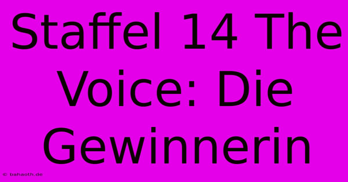 Staffel 14 The Voice: Die Gewinnerin