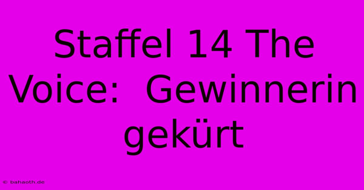 Staffel 14 The Voice:  Gewinnerin Gekürt