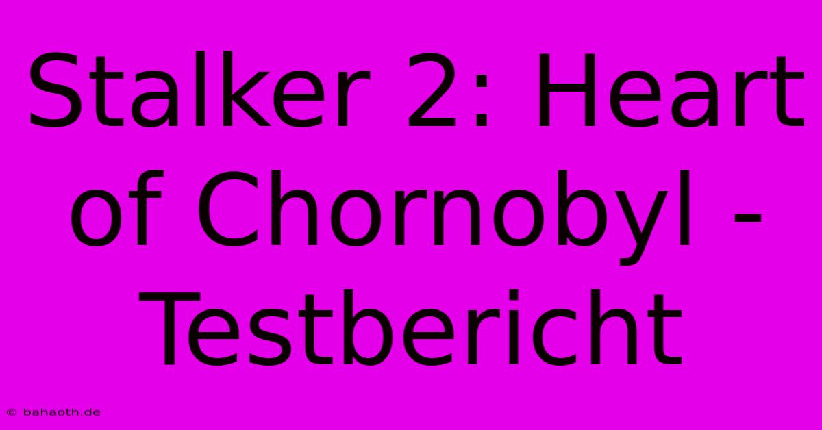 Stalker 2: Heart Of Chornobyl - Testbericht