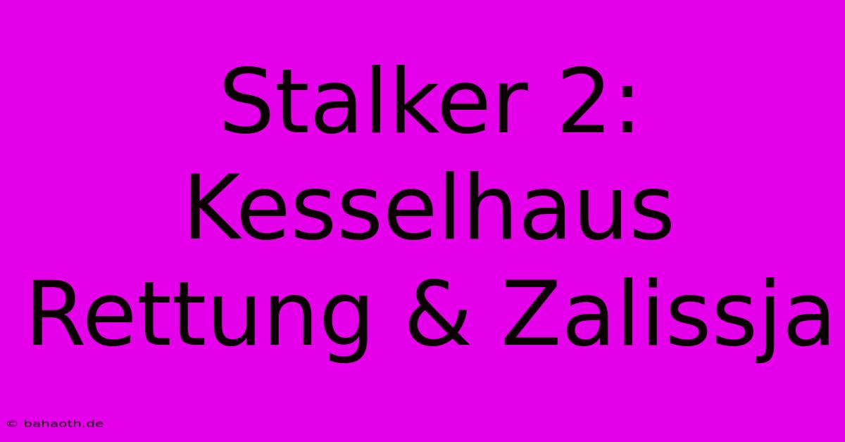 Stalker 2: Kesselhaus Rettung & Zalissja