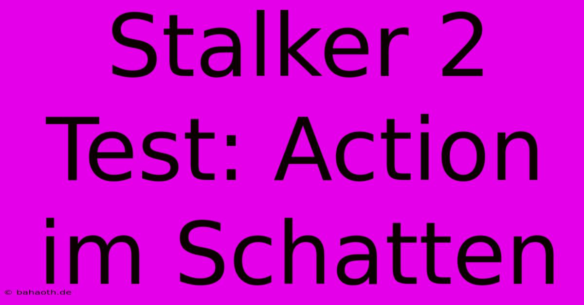 Stalker 2 Test: Action Im Schatten