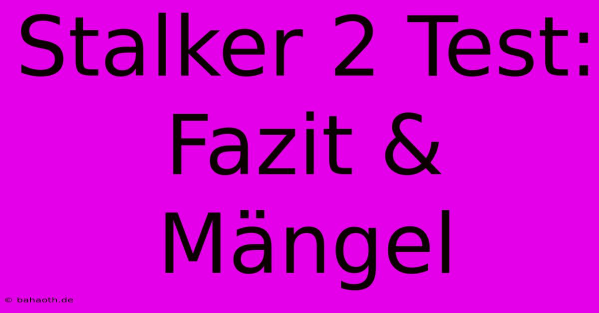 Stalker 2 Test:  Fazit & Mängel